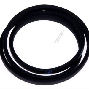 C00494501 481935818132 Cinghia Ignis